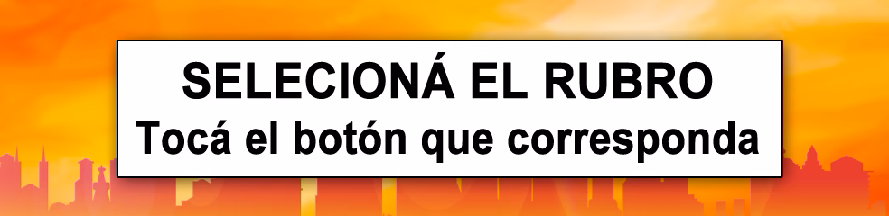 Categorías de servicios