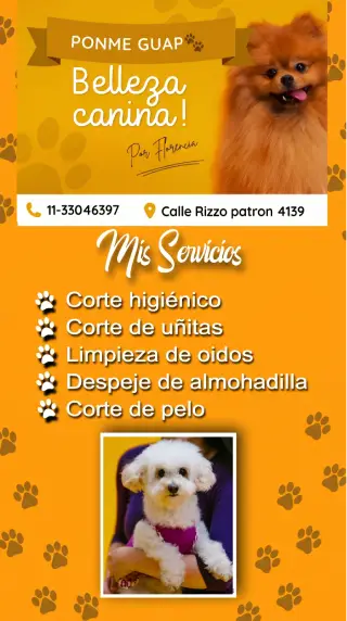 belleza-canina