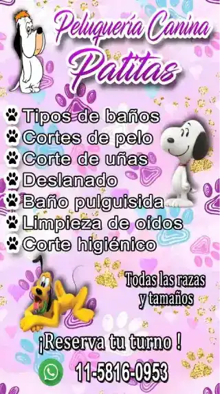 peluqueria  canina